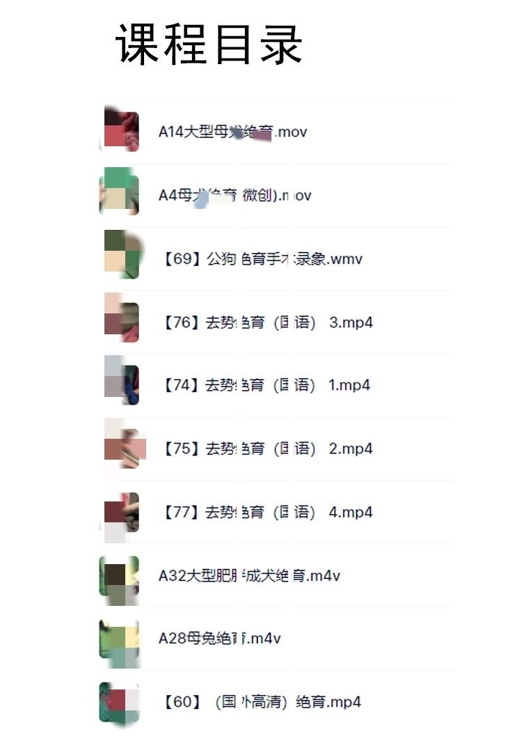 yangkeduo386031.jpg